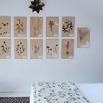 Pensión Maison Mouche 4*
