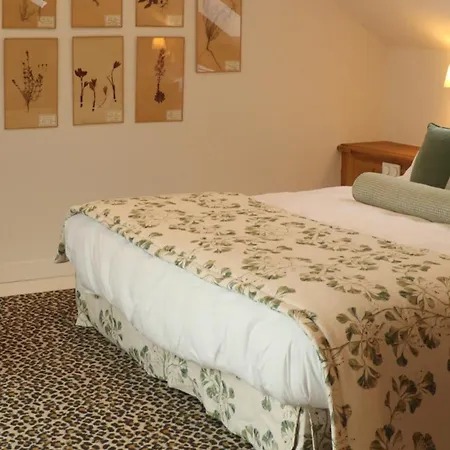 Maison Mouche Affittacamere Beaumont-en-Auge