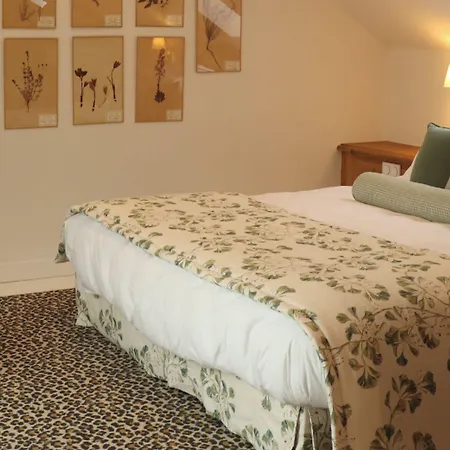 Affittacamere Maison Mouche