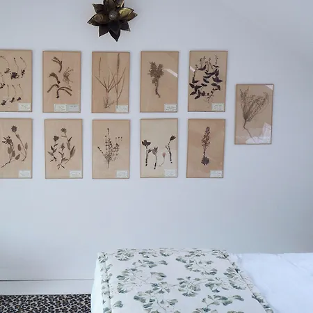 招待所 Maison Mouche 4*